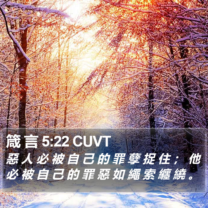 箴 言 5:22 CUVT Bible Study