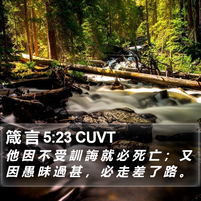 箴 言 5:23 CUVT Bible Study