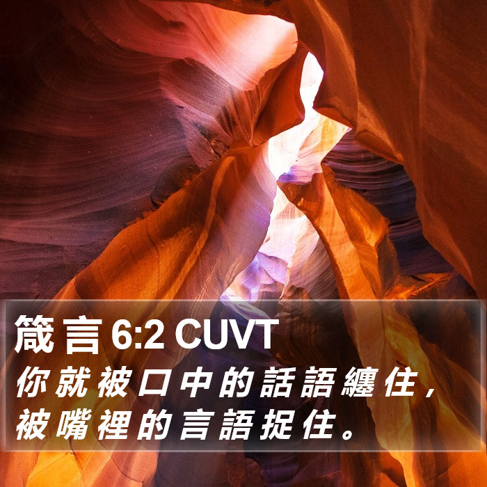 箴 言 6:2 CUVT Bible Study