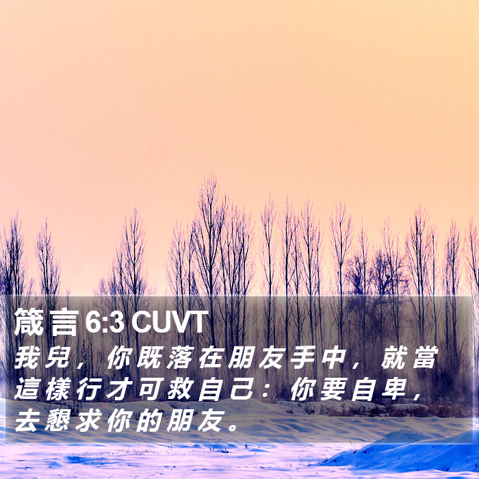 箴 言 6:3 CUVT Bible Study