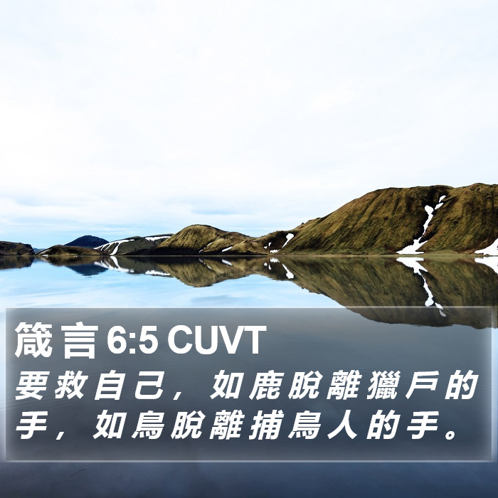 箴 言 6:5 CUVT Bible Study