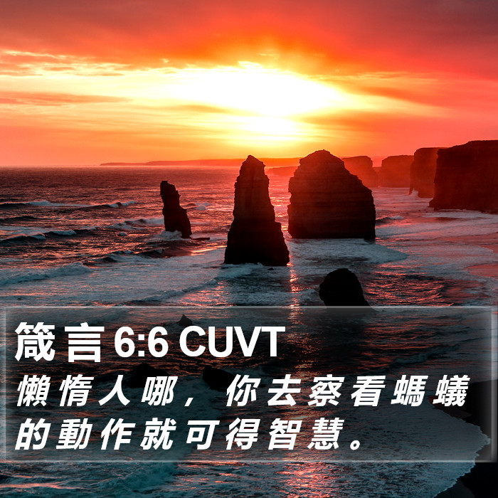 箴 言 6:6 CUVT Bible Study