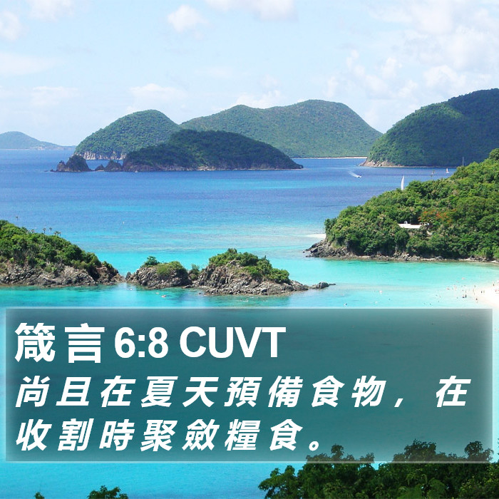 箴 言 6:8 CUVT Bible Study