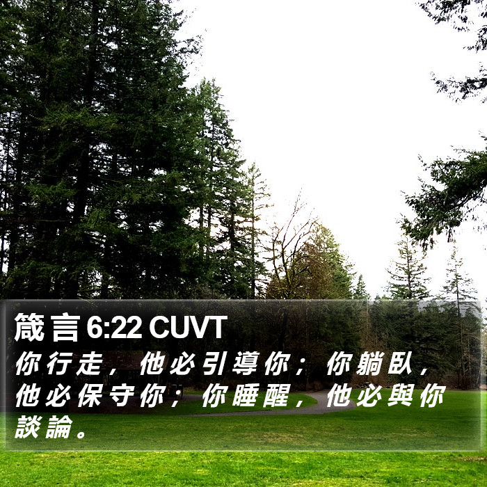 箴 言 6:22 CUVT Bible Study