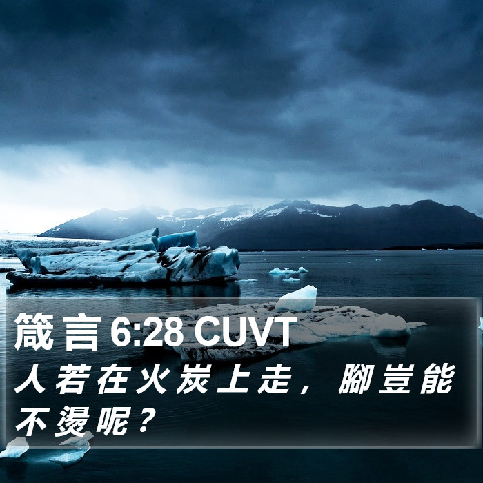 箴 言 6:28 CUVT Bible Study