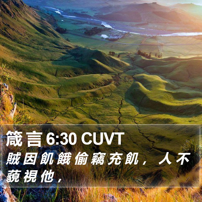 箴 言 6:30 CUVT Bible Study