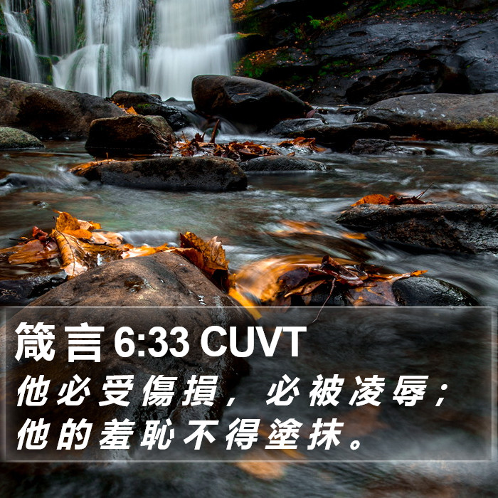 箴 言 6:33 CUVT Bible Study