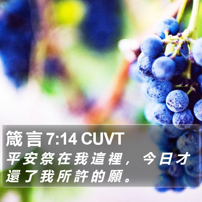 箴 言 7:14 CUVT Bible Study