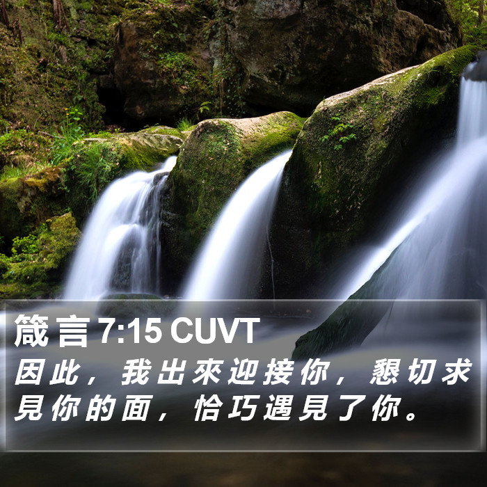箴 言 7:15 CUVT Bible Study