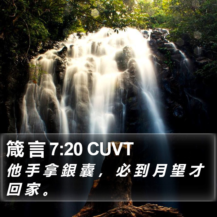 箴 言 7:20 CUVT Bible Study