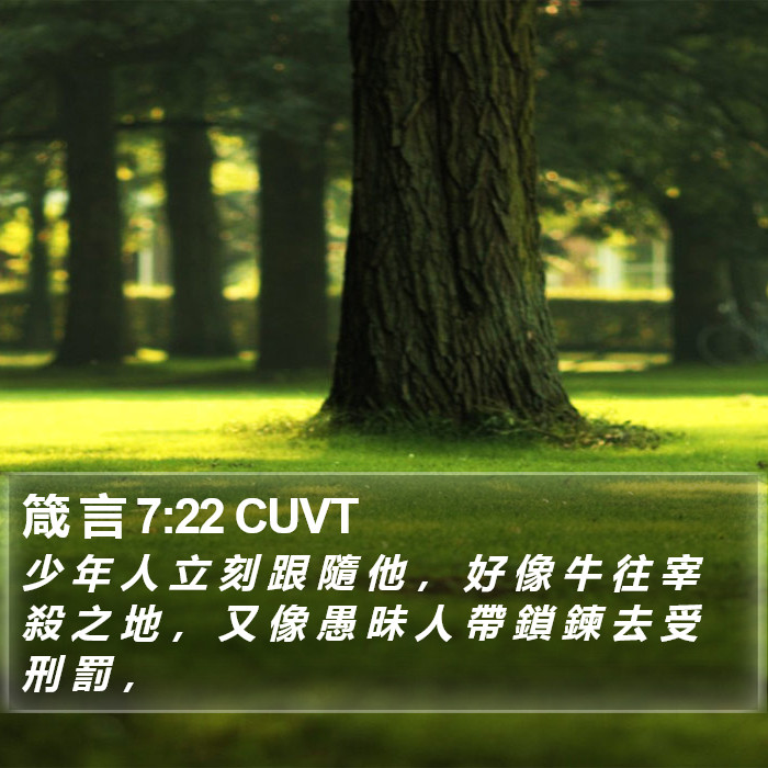 箴 言 7:22 CUVT Bible Study