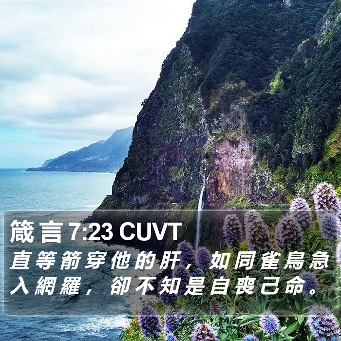 箴 言 7:23 CUVT Bible Study