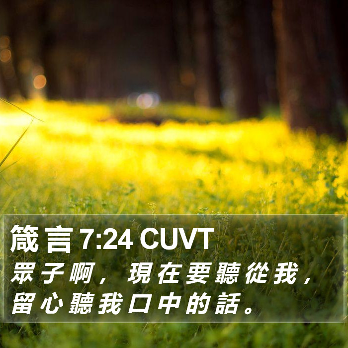 箴 言 7:24 CUVT Bible Study