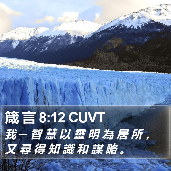箴 言 8:12 CUVT Bible Study