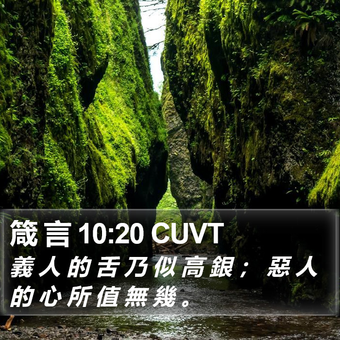 箴 言 10:20 CUVT Bible Study