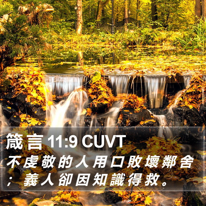 箴 言 11:9 CUVT Bible Study