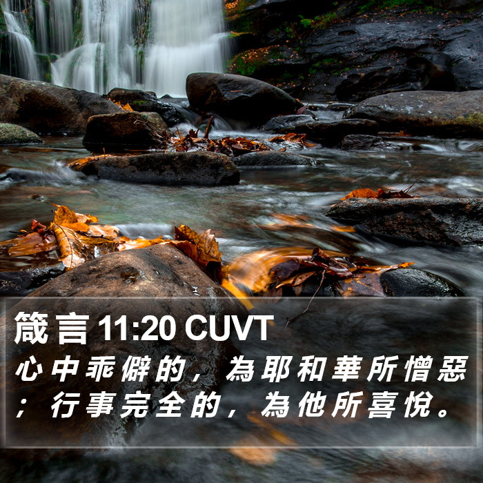 箴 言 11:20 CUVT Bible Study