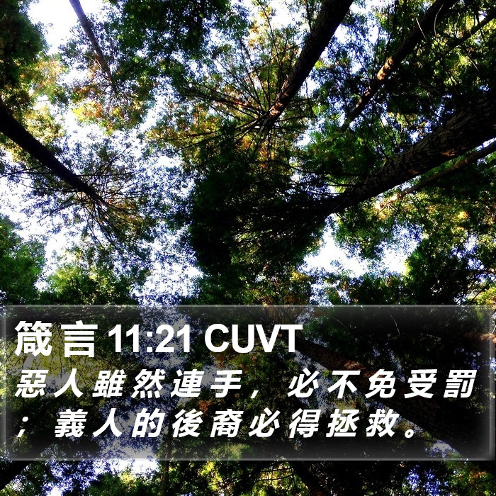 箴 言 11:21 CUVT Bible Study