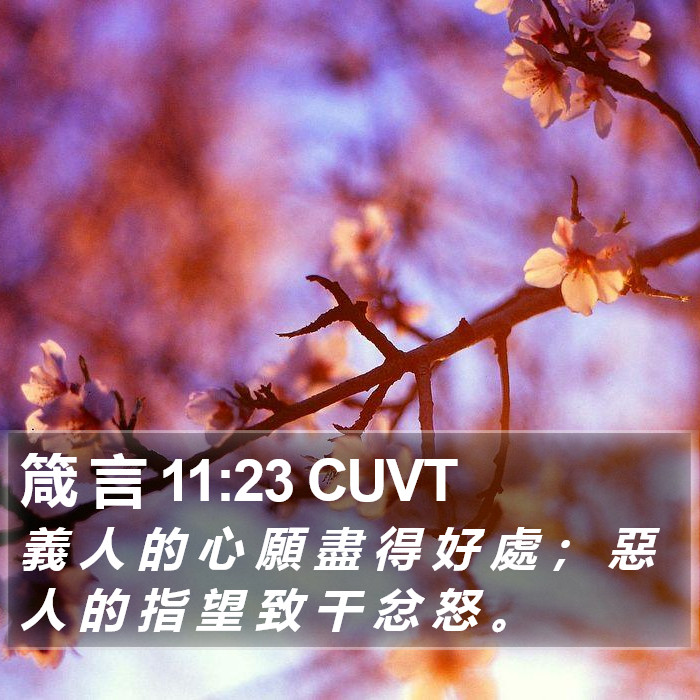 箴 言 11:23 CUVT Bible Study