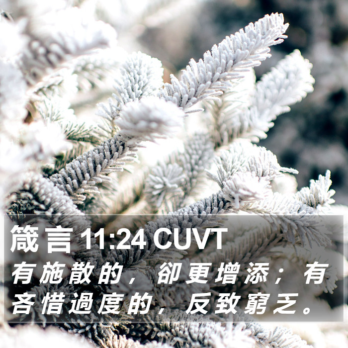 箴 言 11:24 CUVT Bible Study