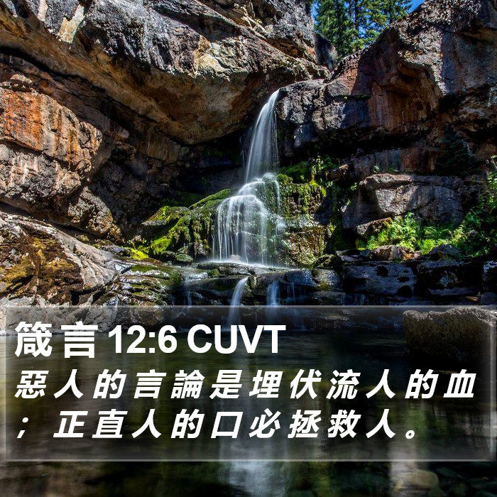 箴 言 12:6 CUVT Bible Study