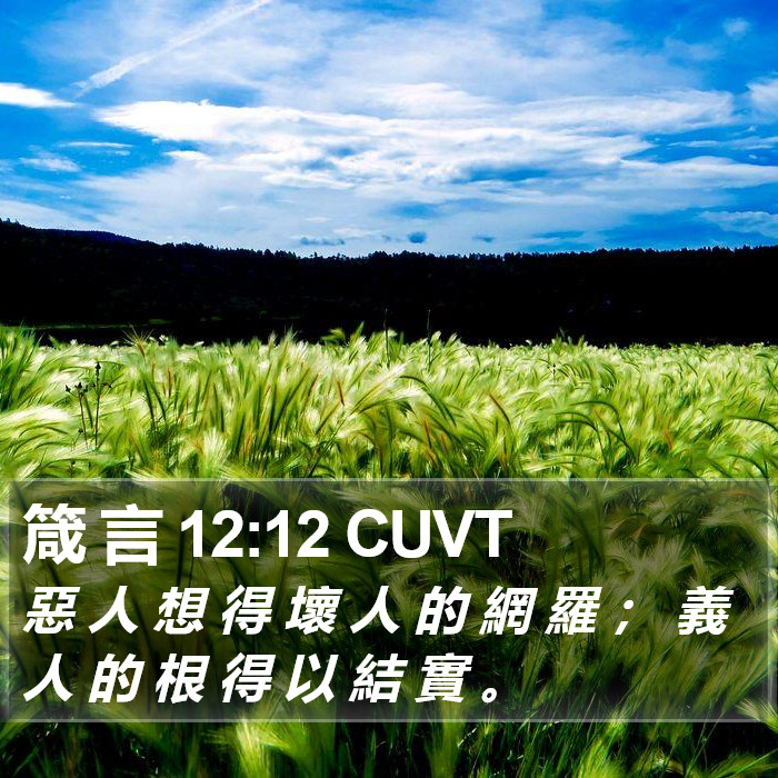 箴 言 12:12 CUVT Bible Study