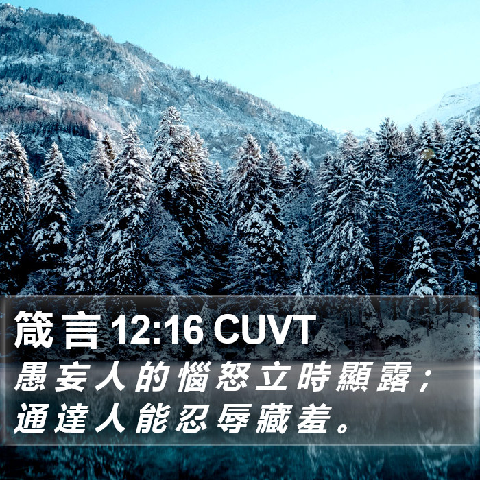箴 言 12:16 CUVT Bible Study