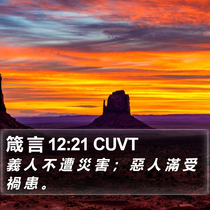 箴 言 12:21 CUVT Bible Study