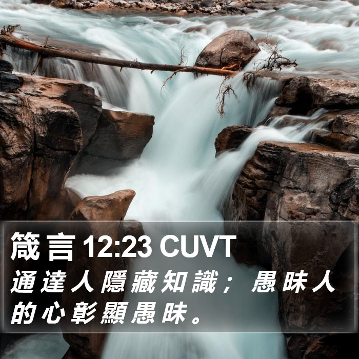 箴 言 12:23 CUVT Bible Study