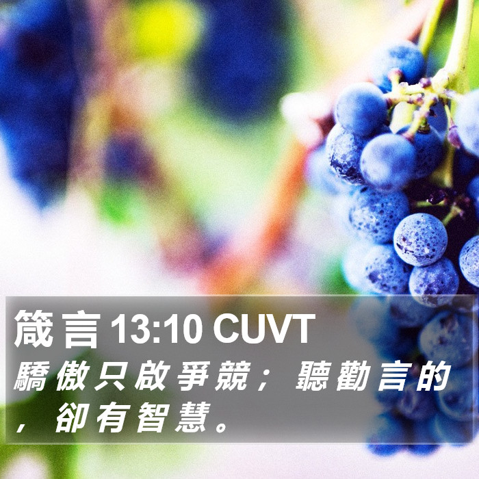 箴 言 13:10 CUVT Bible Study