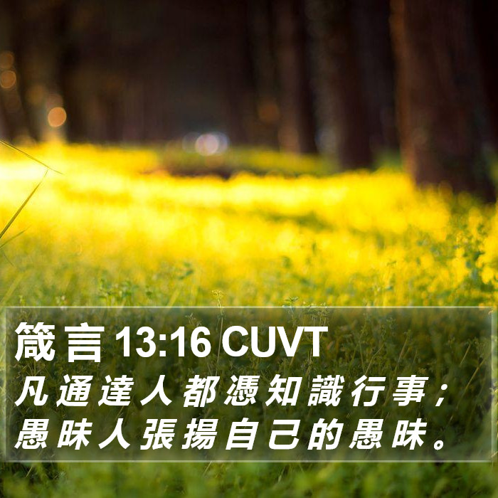 箴 言 13:16 CUVT Bible Study