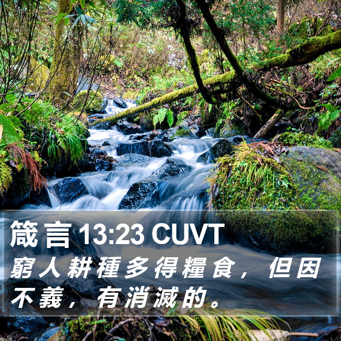 箴 言 13:23 CUVT Bible Study