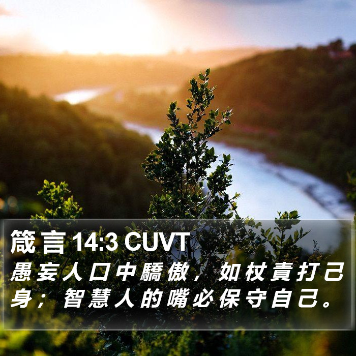 箴 言 14:3 CUVT Bible Study