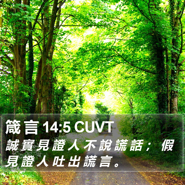 箴 言 14:5 CUVT Bible Study
