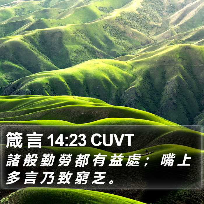 箴 言 14:23 CUVT Bible Study
