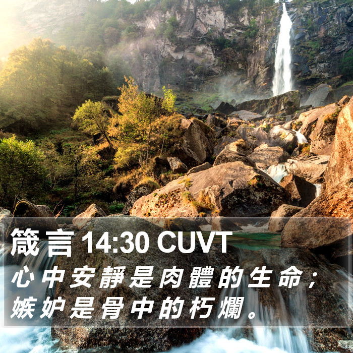 箴 言 14:30 CUVT Bible Study