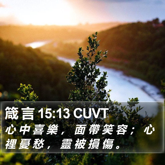 箴 言 15:13 CUVT Bible Study