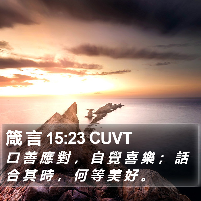 箴 言 15:23 CUVT Bible Study