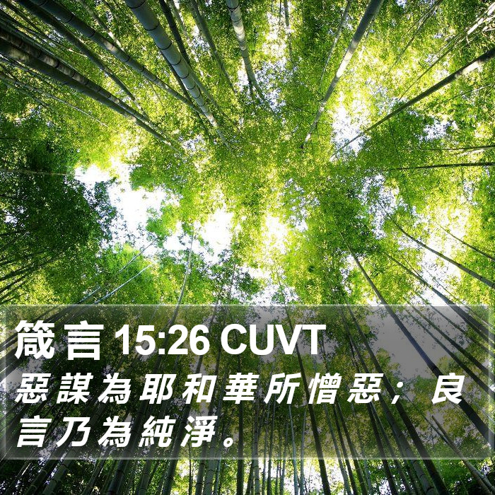 箴 言 15:26 CUVT Bible Study