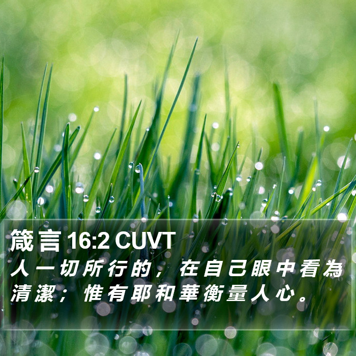 箴 言 16:2 CUVT Bible Study