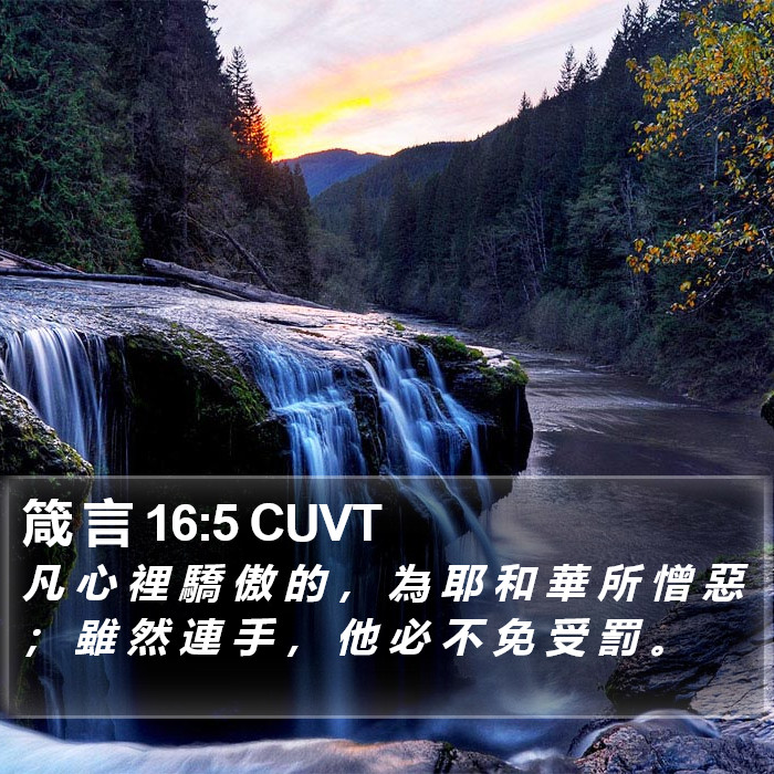 箴 言 16:5 CUVT Bible Study