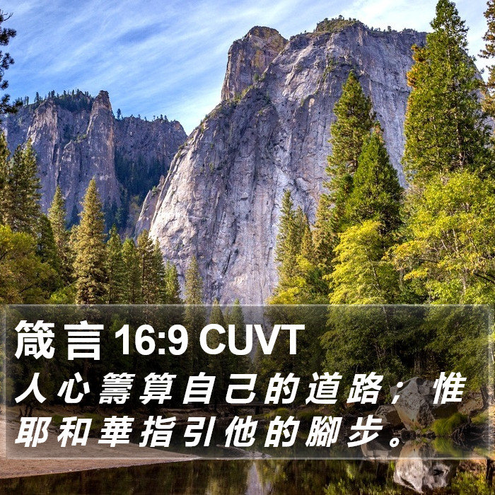 箴 言 16:9 CUVT Bible Study