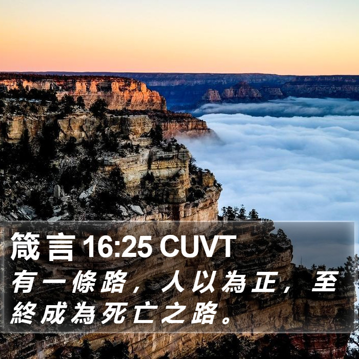 箴 言 16:25 CUVT Bible Study