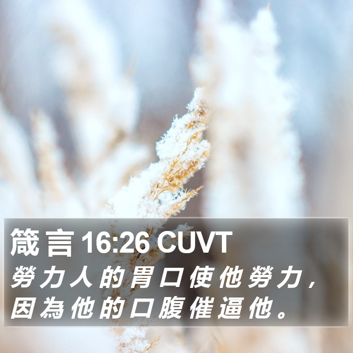 箴 言 16:26 CUVT Bible Study