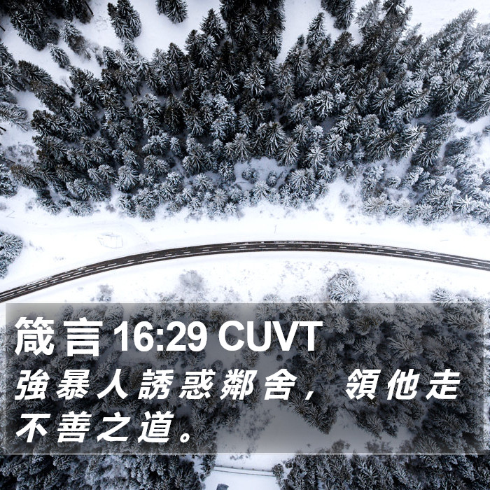 箴 言 16:29 CUVT Bible Study