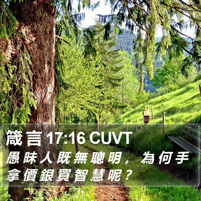 箴 言 17:16 CUVT Bible Study