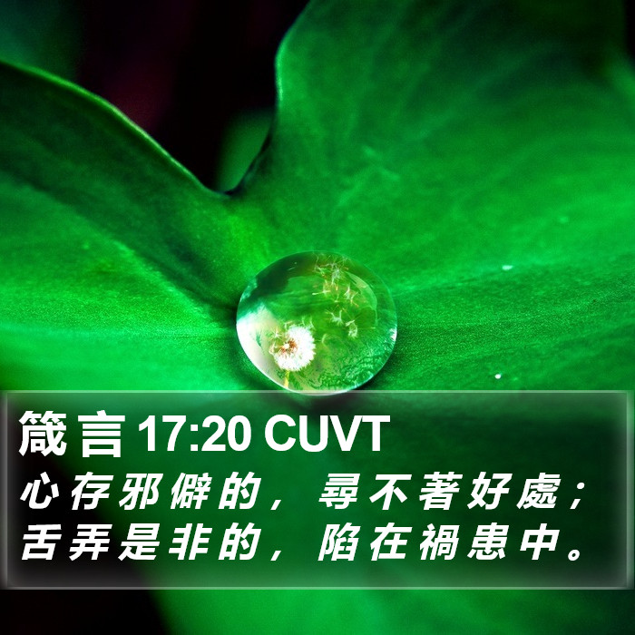 箴 言 17:20 CUVT Bible Study