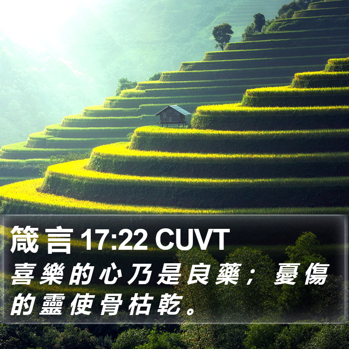 箴 言 17:22 CUVT Bible Study