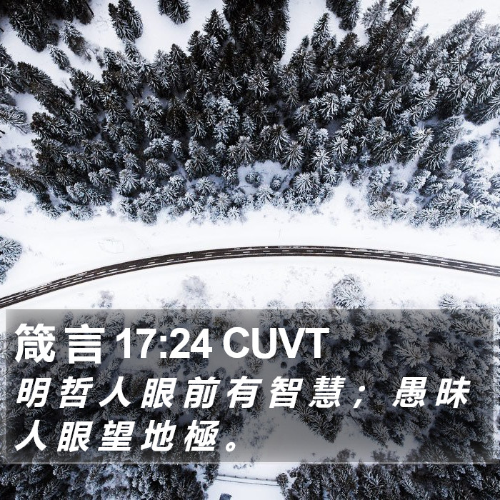 箴 言 17:24 CUVT Bible Study