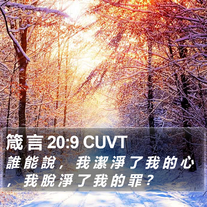箴 言 20:9 CUVT Bible Study